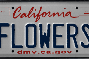 A california license plate with the word " lower ".